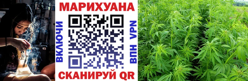 Как найти закладки Асино Cocaine МЕФ Псилоцибиновые грибы Марихуана ГАШИШ