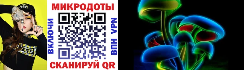 Псилоцибиновые грибы Cubensis  Асино 